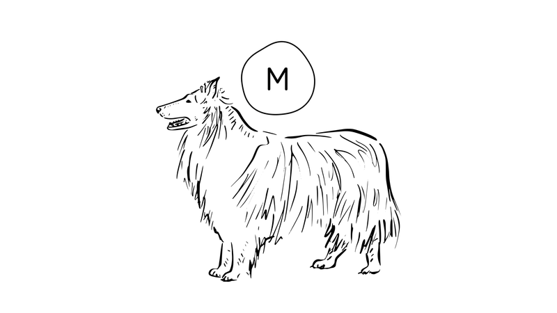 Medium