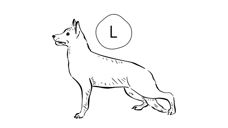 Large