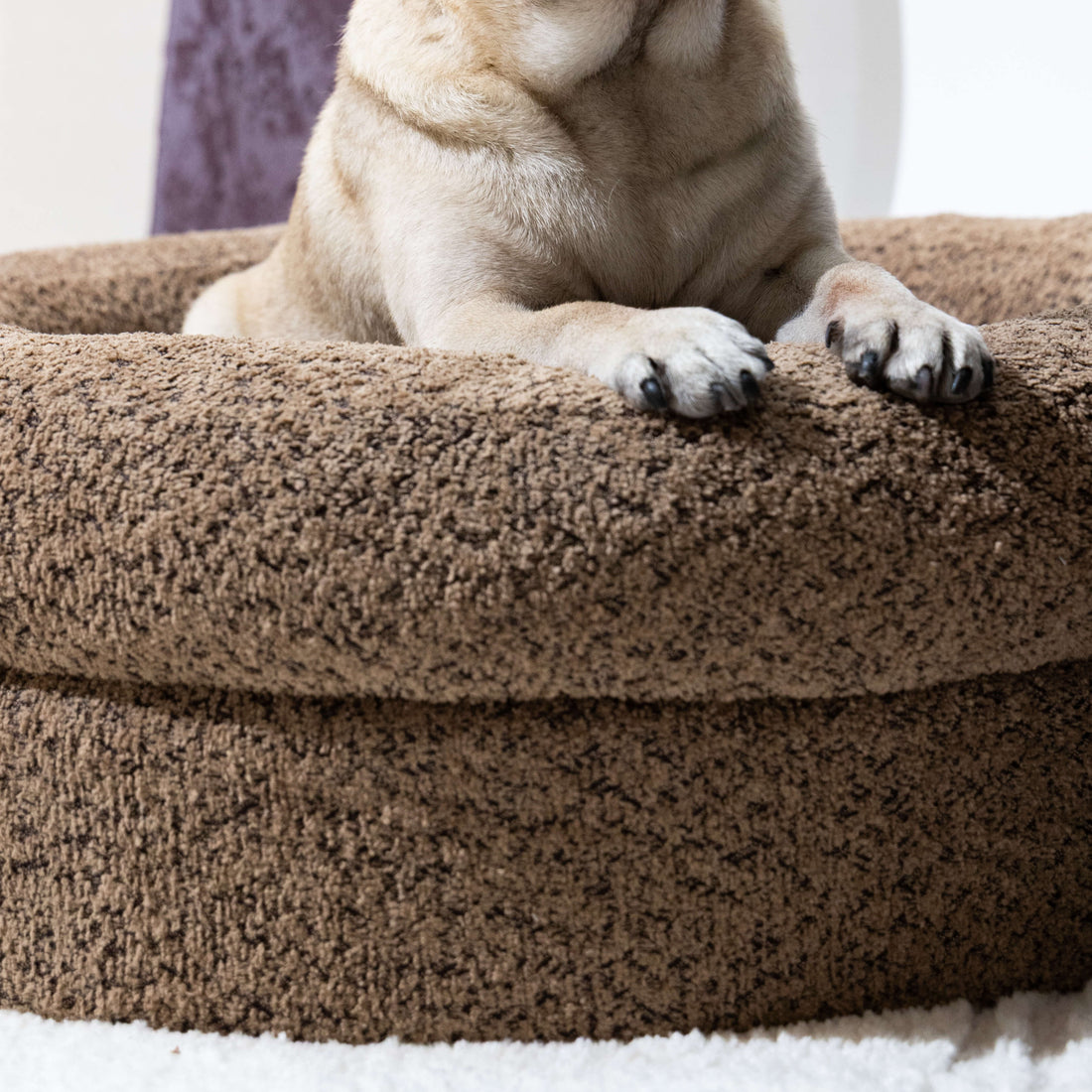 donutorthopédiquepourchien-marronmoka
