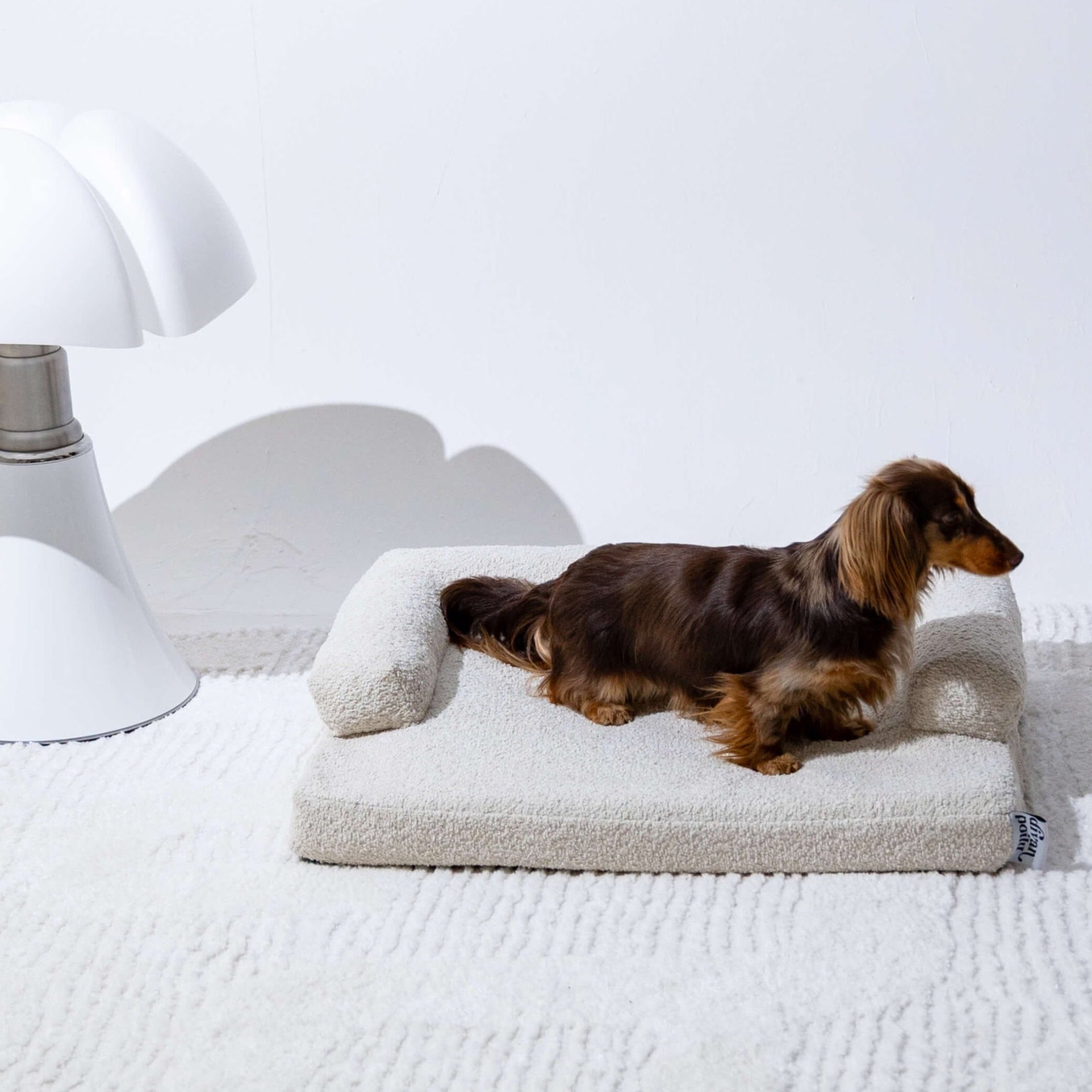 divanorthopédiquepourchien-beigelatté