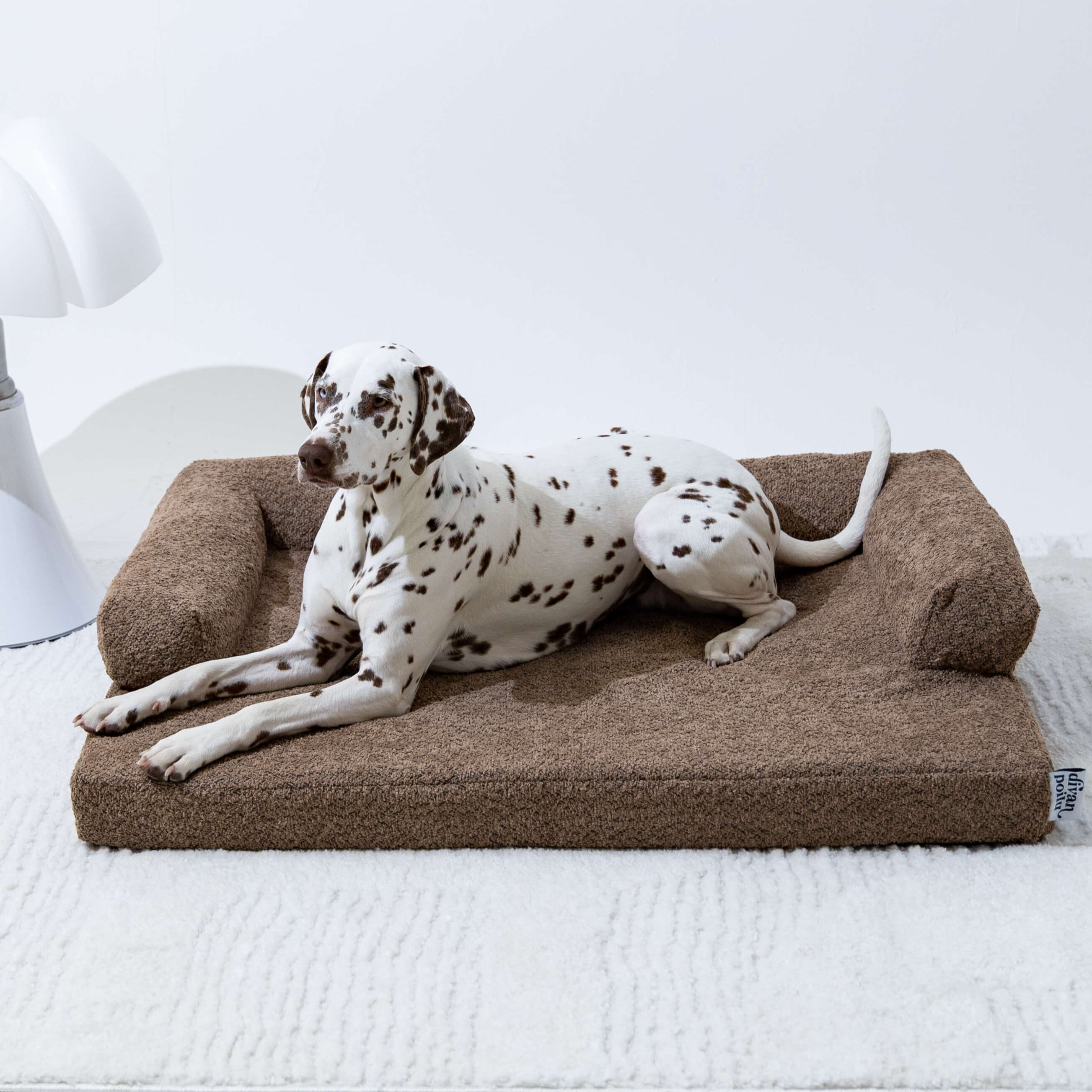 divanorthopédiquepourchien-marronmoka