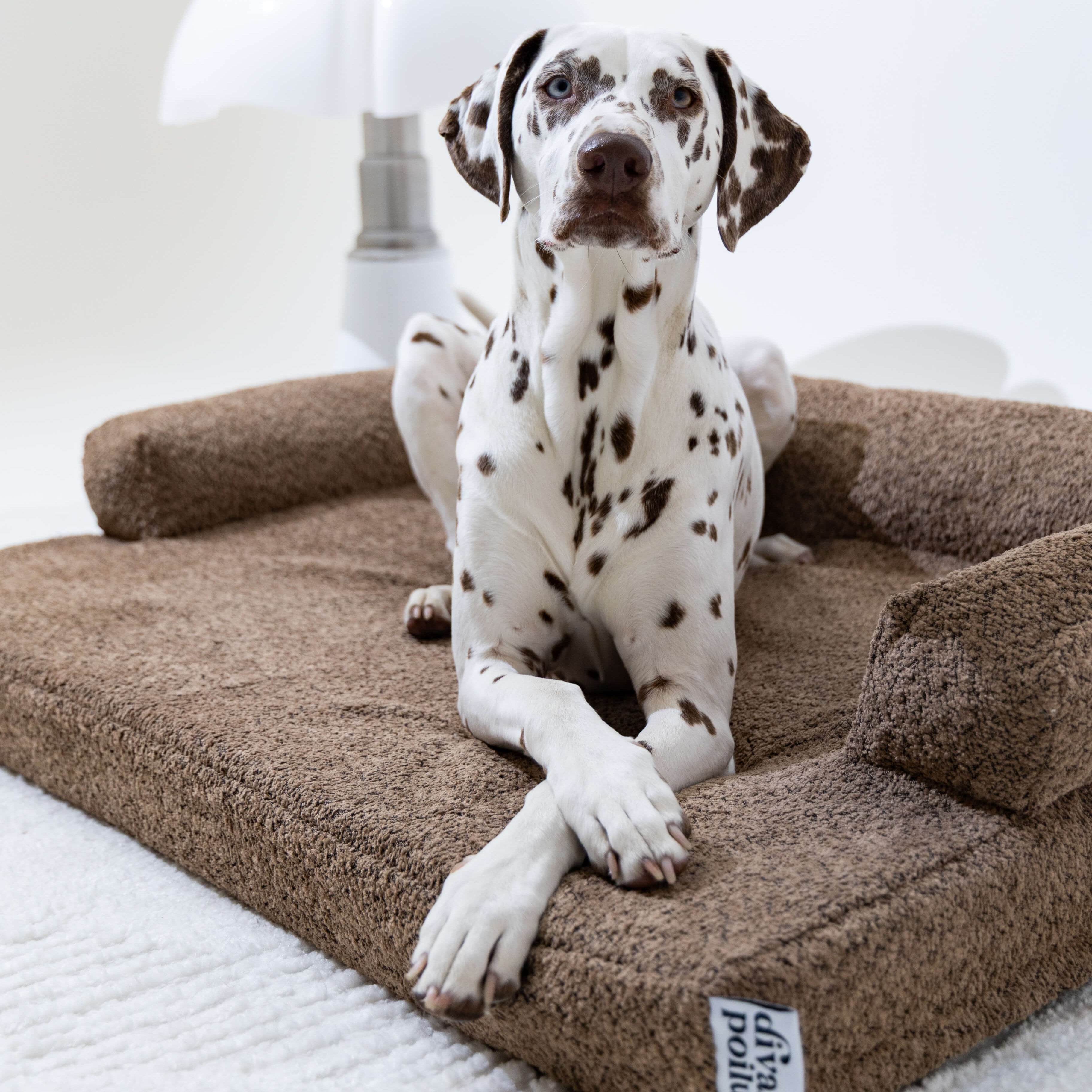 divanorthopédiquepourchien-marronmoka
