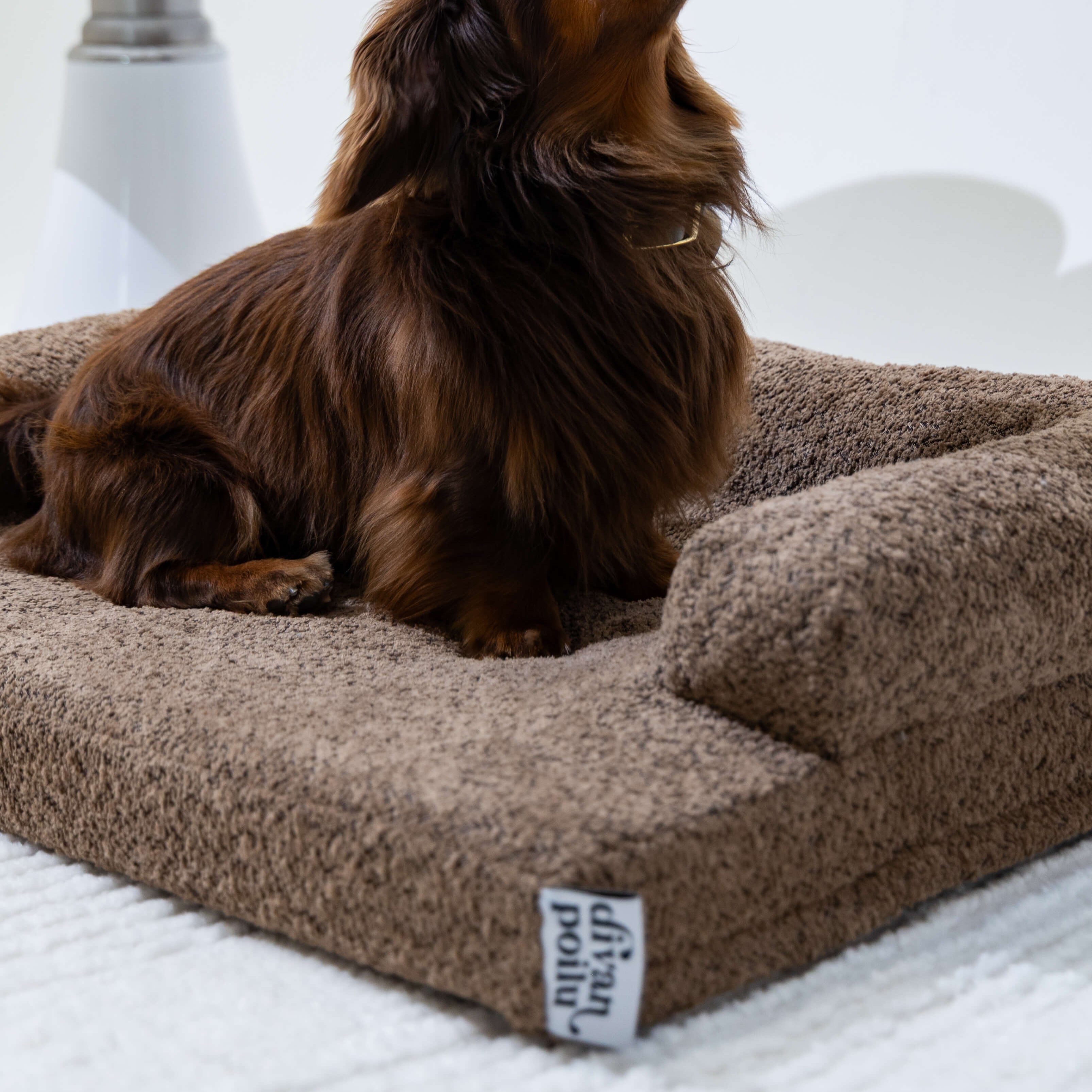 divanorthopédiquepourchien-marronmoka