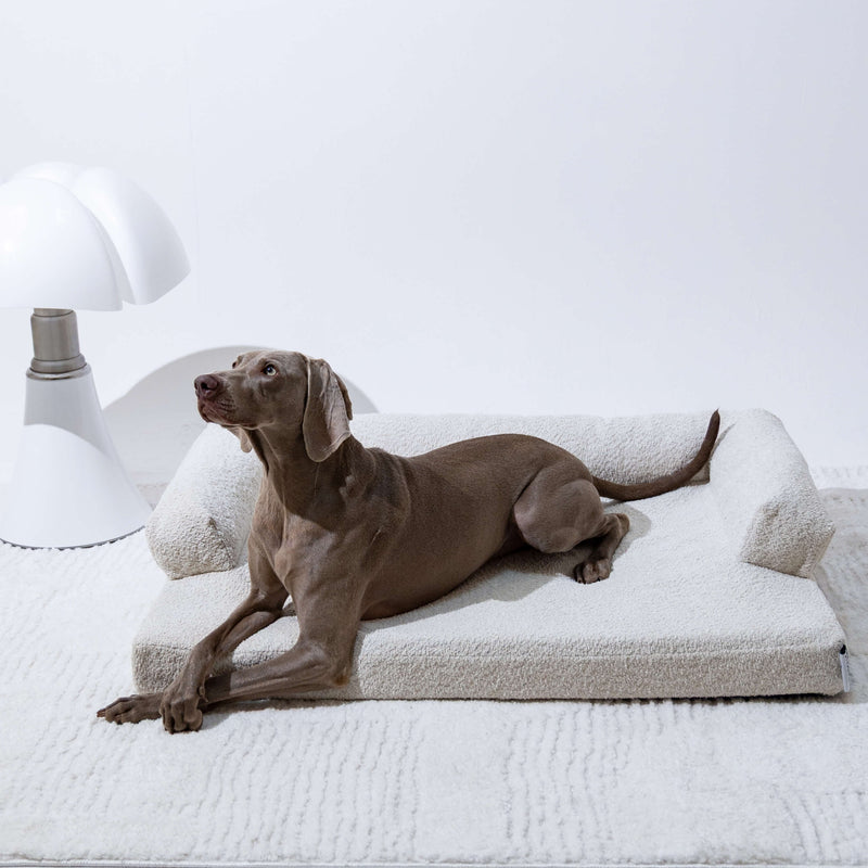 divanorthopédiquepourchien-beigelatté