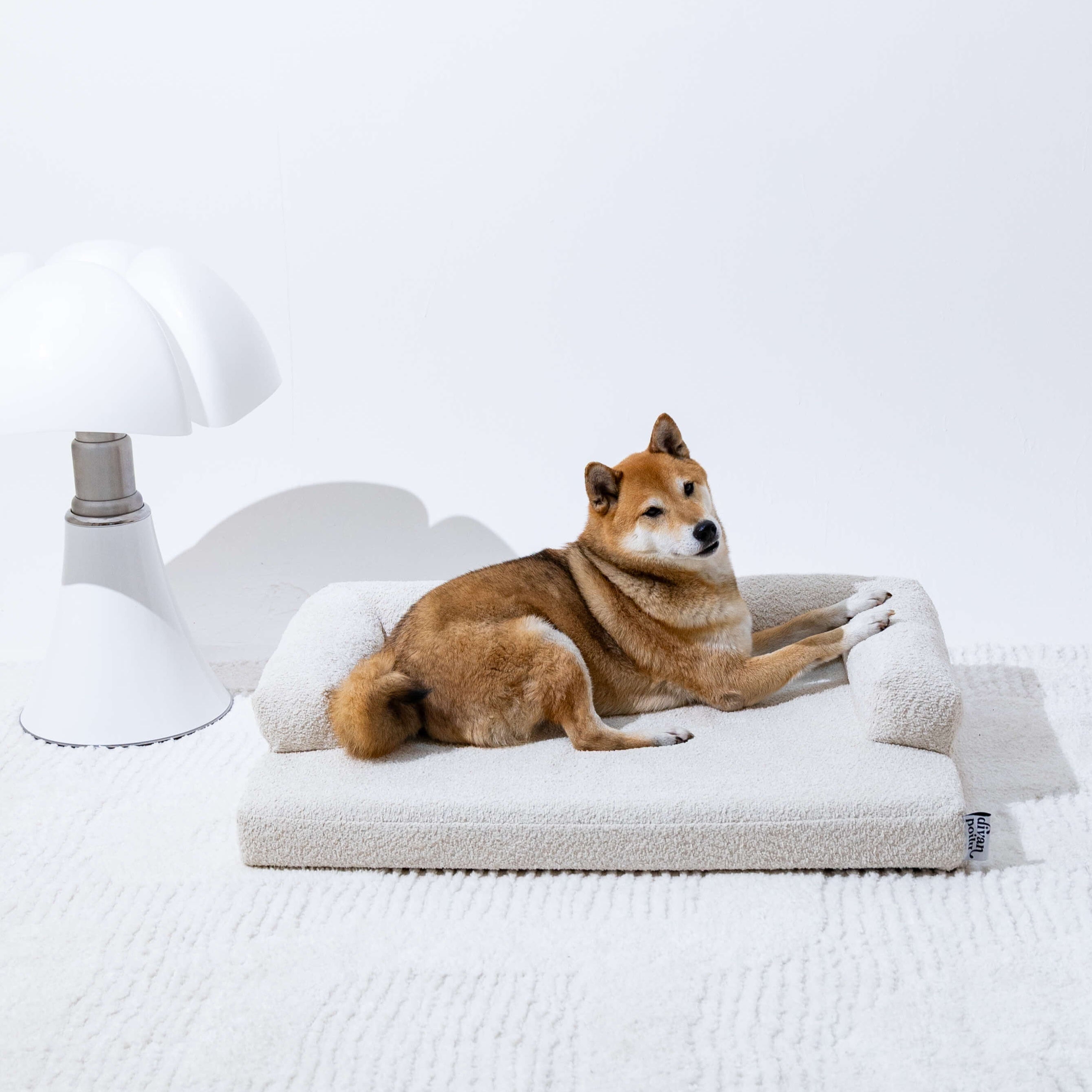 divanorthopédiquepourchien-beigelatté