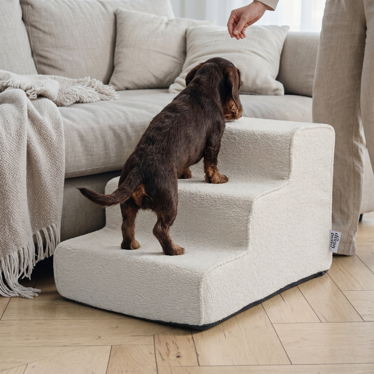 L'Escalier pour chiens